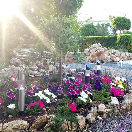 Kastelan Apartment *